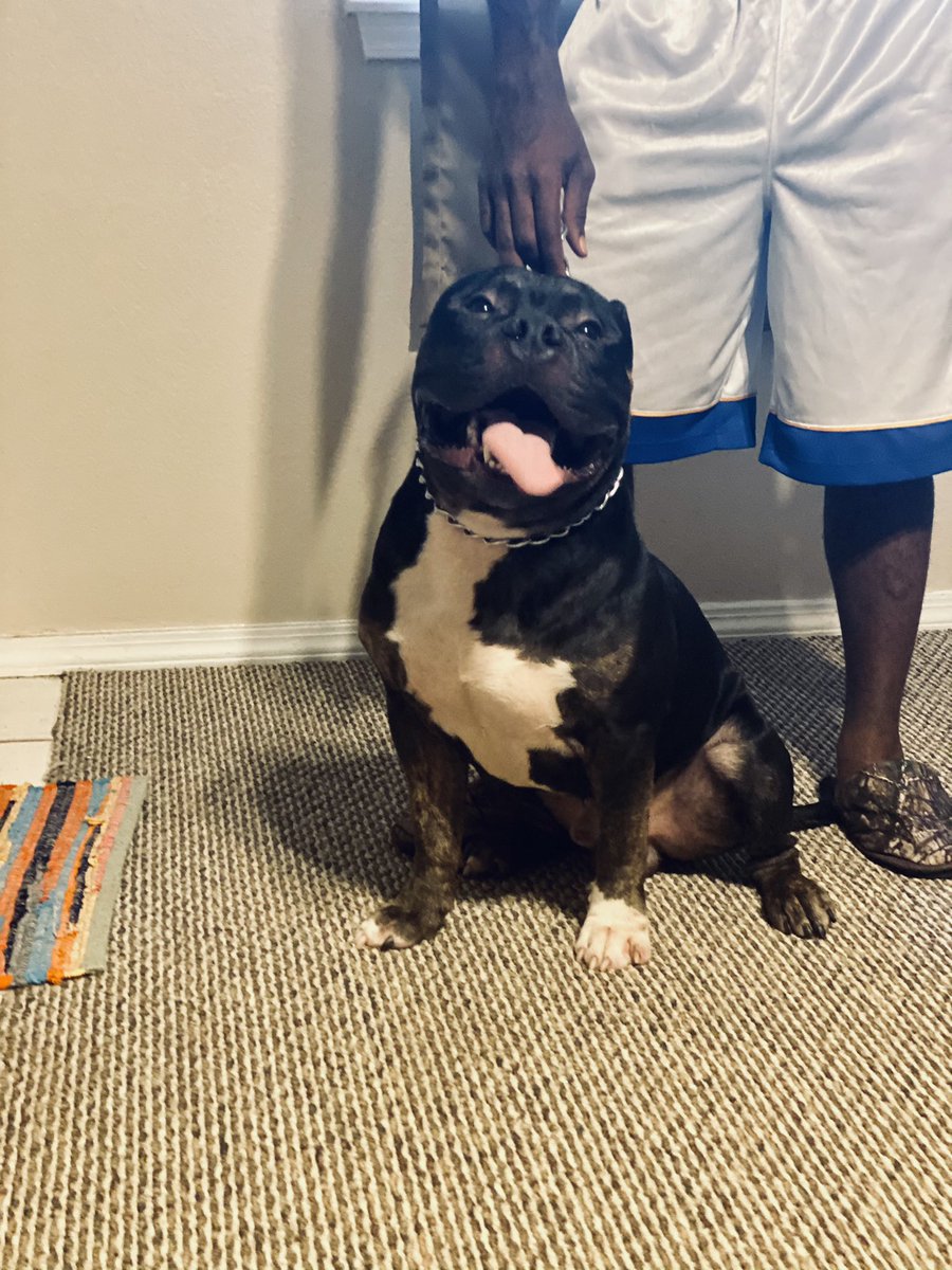 kaley_eden's tweet photo. My baby boy at 10 months 🖤 https://t.co/cM0ctFwwAF