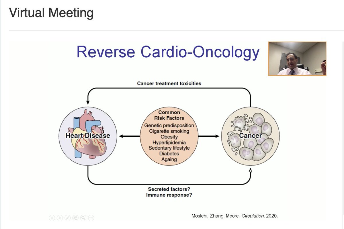 EuroCardioOnc's tweet image. Great #VCOS20 talk by @CardioOncology
 covering the top basic science/translational studies in #CardioOncology @ICOSociety #cardiotwitter #oncology