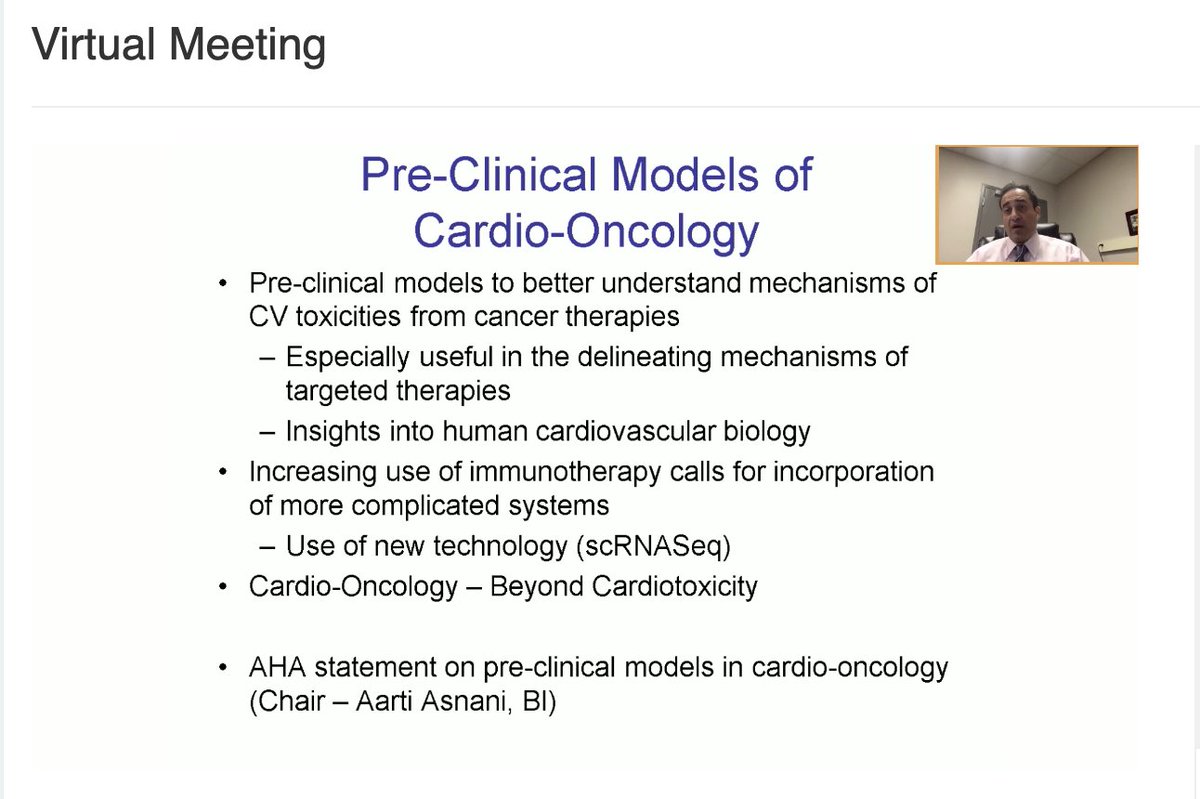 EuroCardioOnc's tweet image. Great #VCOS20 talk by @CardioOncology
 covering the top basic science/translational studies in #CardioOncology @ICOSociety #cardiotwitter #oncology