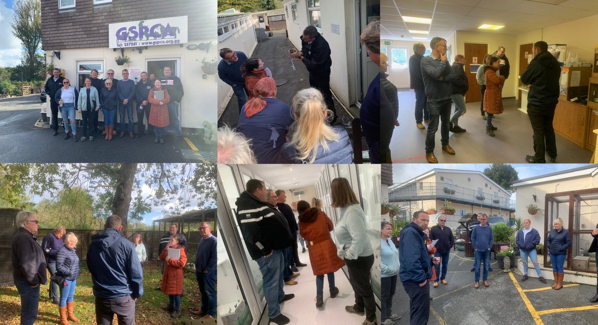 GSPCA's tweet image. 6 more 2020 Candidates visit the GSPCA and last chance tomorrow for those not yet booked in gspca.org.gg/blog/6-more-20… @GSYElection2020 #countmein #GuernseyElection #GuernseyTogether #Guernsey #GSPCA #GuernseySPCA @moakesni @Vote_APG @Govgg