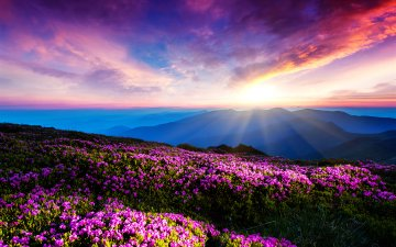 dorianaur's tweet photo. #Destiny is not a matter of #chance; it is a matter of #choice. William Jennings Bryan https://t.co/rRoQRhtM5Z
#COVID19 #phobia #invest #mentalhealth #therapy #depression #SuicidePrevention #anxiety #PTSD #stress #sleep #AddBrain_Inc #Psychiatry #lovelife #inspire #Flowers https://t.co/XJt7psYzGp
