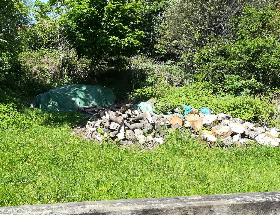 Birmingham (UoB) Hedgehog Friendly Campus tweet media