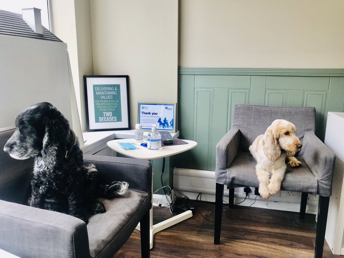McLeanForth's tweet photo. After a short absence moonlighting as isolation companions, the front of house team are back .... socially distanced of course πΆ - - πΆ #TeamMcLeanForth https://t.co/eT4xOMBDzh