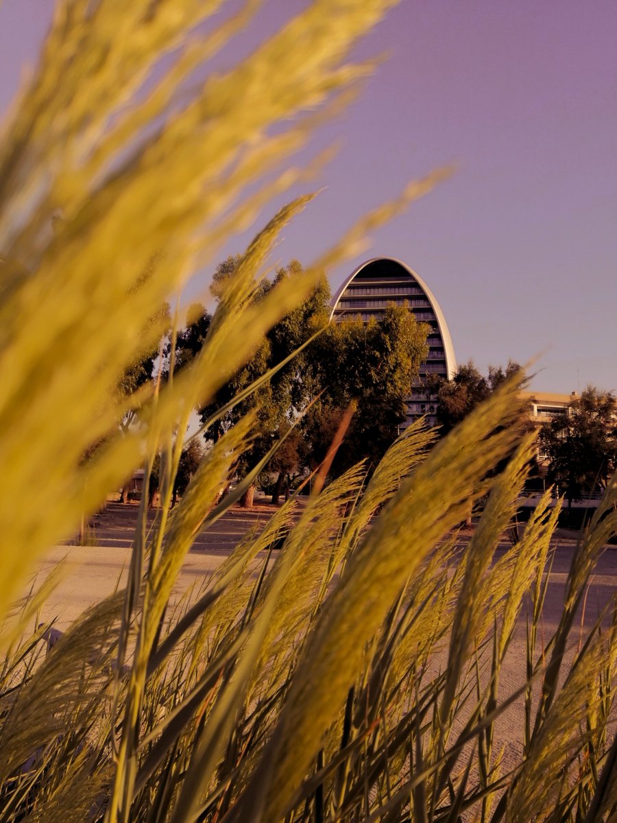 Happy #HalloweenMonth from #Cyprus 🎃👻🏝️ It's still #summer here #october2020