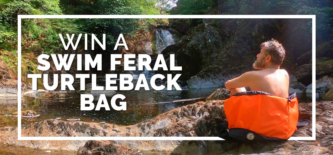 VertebratePub's tweet photo. We've got a Swim Feral Turtleback bag up for grabs (worth £89.99) this October, the perfect accessory for all you wild swimmers. All you have to do is get on our mailing list by visiting https://t.co/mT7NnM3Ngk #whosinthebag #turtleback #swimferal
Winner will be drawn 30 October. https://t.co/wNXF8cXwHD