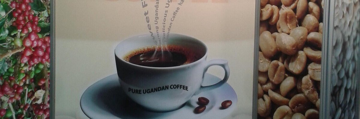 Mt Elgon Agroforestry Communities Coop Ltd tweet media