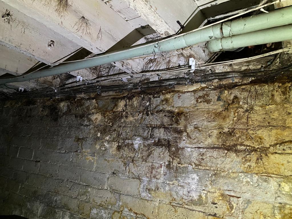 DampSolutions1's tweet photo. Complex job at an old Victorian building. Here the structural joists above the cellar were suffering from fungal attack, wet rot and dry rot. The tips of the joists had become soft and decayed.
Floorboards & joists must be stipped out & fungicidal chemicals applied. #WetRot https://t.co/V2gDG9xROD