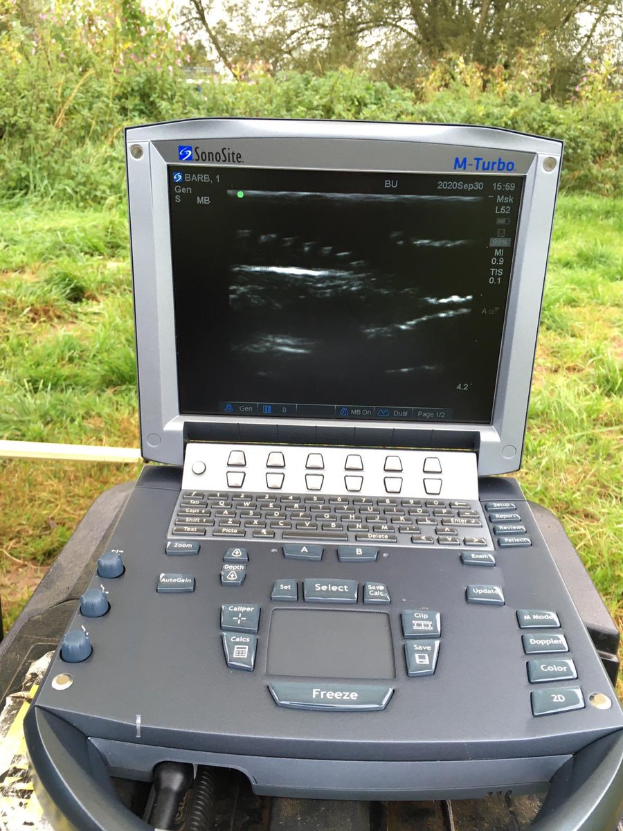 ChrisBaingerEA's tweet photo. Our #FisheriesOfficers have been working with @BU_Reaserch @UniOfHull and local anglers to catch #barbel from the #Teme #Worcetershire for tagging. 
This is part of a partnership of one of the longest #barbel tracking studies to understand behaviour and habitat preferences. https://t.co/fnNOv0lBru