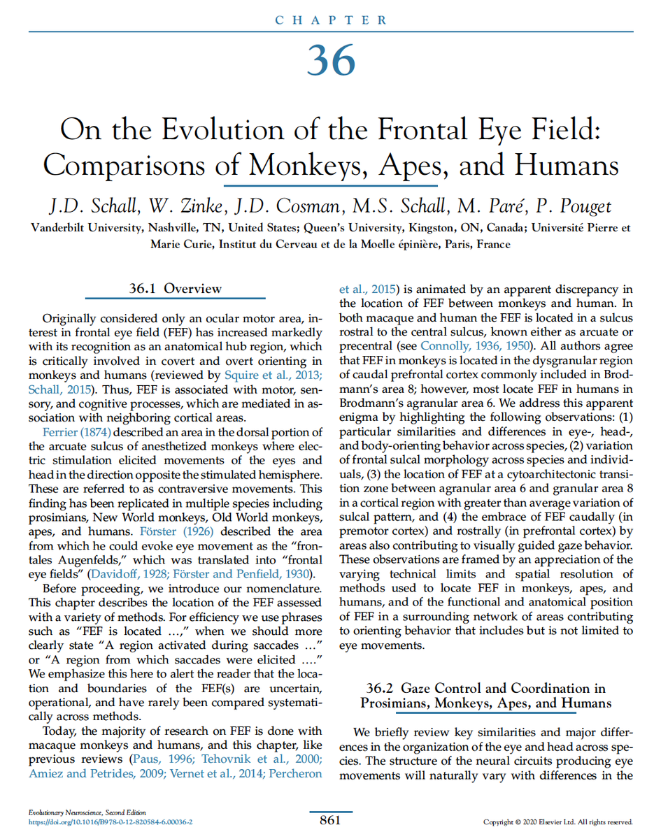 The Schall Lab tweet media