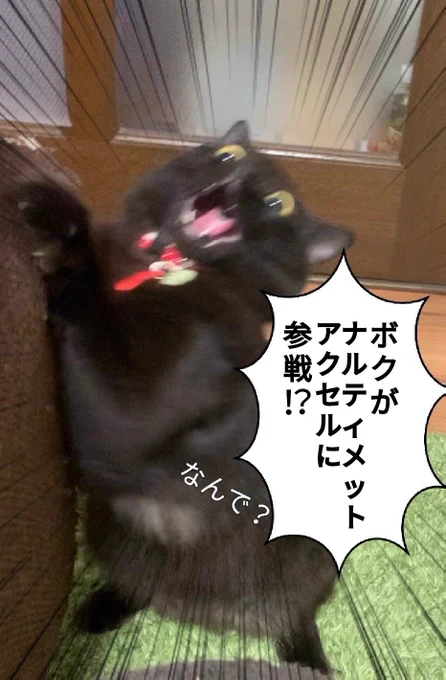 @moyashidayodayo まさかのネタ再利用 