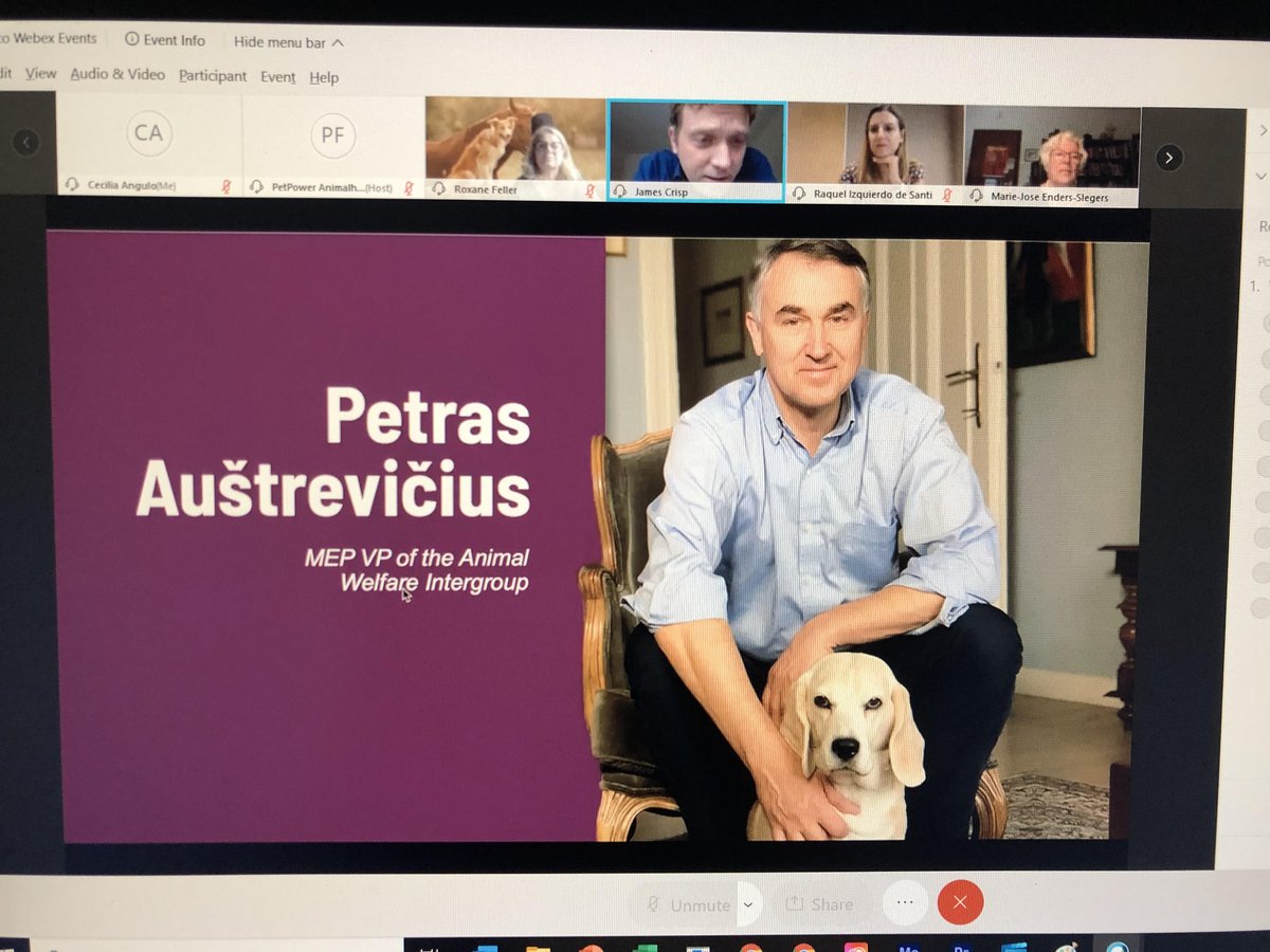 AWintergroup's tweet photo. #PetPower🐾
Thank you MEP @petras_petras for announcing the launch of the @AWintergroup working group on #companionanimals 🔜🐶🐱🐰
We are very excited about bringing topics such as #IllegalPuppyTrade to the political agenda!💪
#Act4Pets #AnimalWelfare #CompanionAnimals #Pets https://t.co/mCop03FJk6