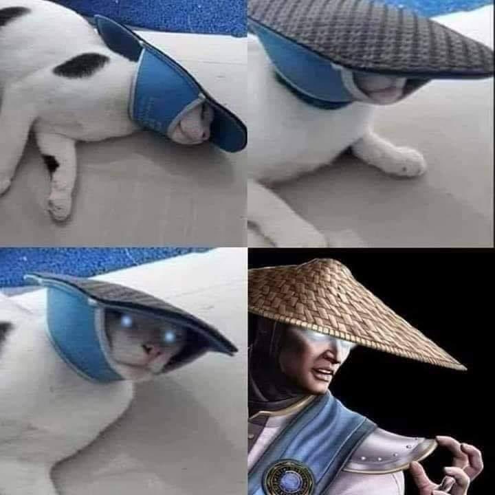 EjPkJk_XkAA0qoi?format=jpg&name=900x900