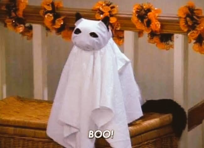 ¡Boo! 🎃