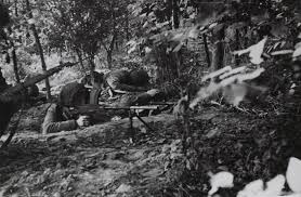 17 of 30:On Tuesday, September 19th, the Polish Brigades anti-tank battery headed for Arnhem, leaving Sosabowski without anti-tank capability. A glider shortage forced the brigade to leave behind (in England) their light artillery battery.