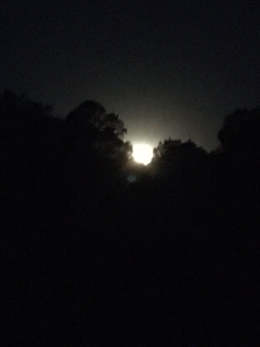 ElizabethAutry3's tweet photo. I challenged myself to do the Mississippi 35 mile walk for breast cancer. This month I will be walking the 35 miles in honor of two special ladies. 3 miles down, 32 to go!!                  #AmericanCancerSociety #BreastCancerAwarenessMonth #mississippi35milewalk #Mississippi https://t.co/71lXouuuUE
