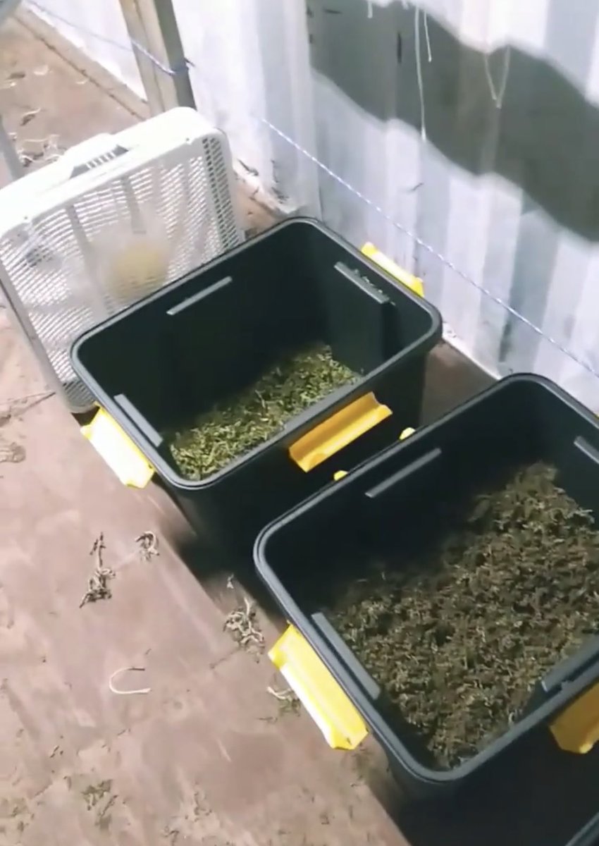 Suite_Tea's tweet photo. #BlackHemp #BlackSol #TestCrop https://t.co/NR9FY8cEW7 π
#Hemp2020 https://t.co/VykMrggzMD