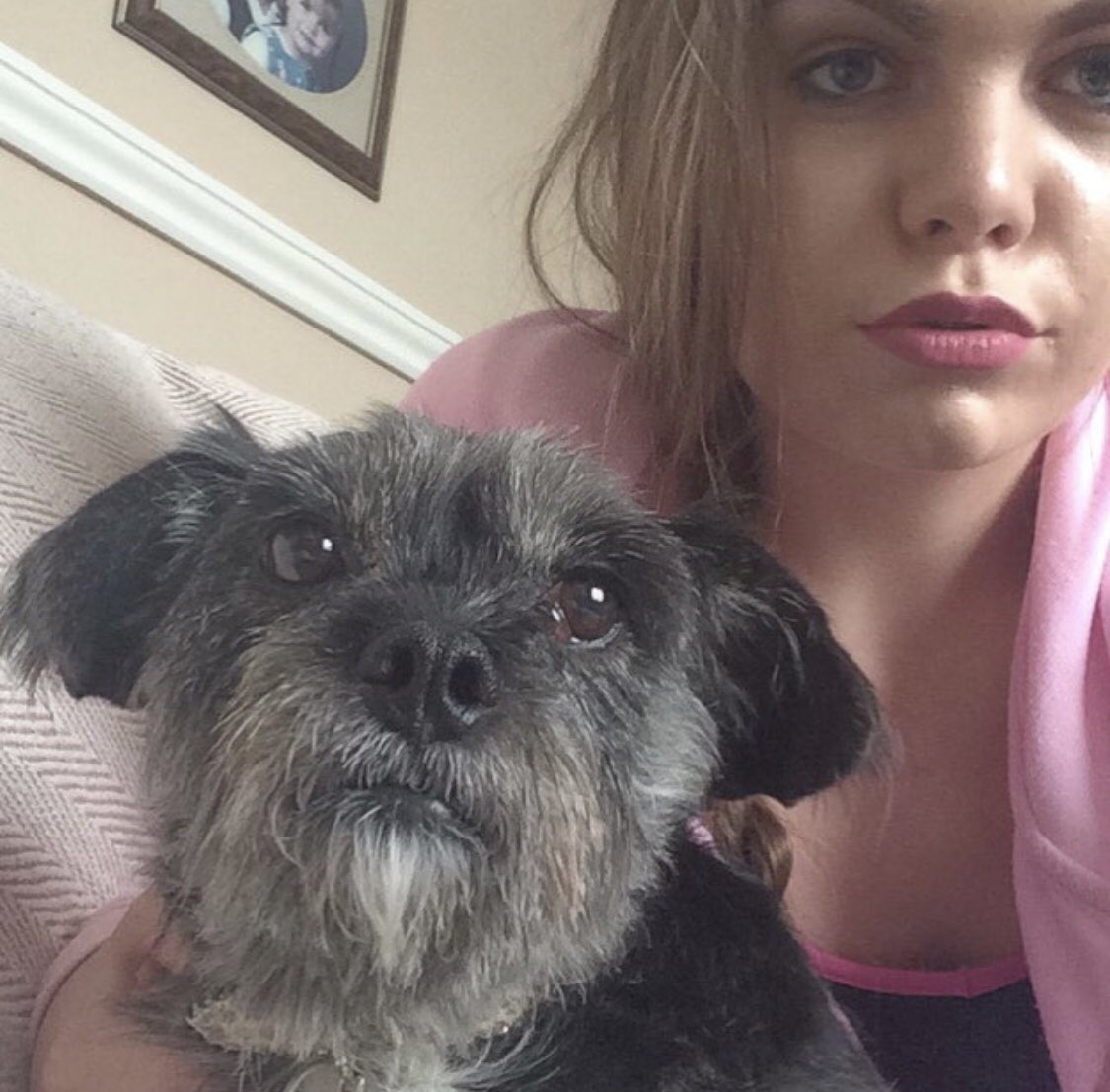 courtwhitwell's tweet photo. @ohpolly Me and princess sparky who sadly went to sleep in July 😟💖 my soul mate #PetsofOhPolly https://t.co/pLTNMN15NN