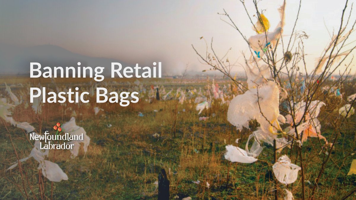 📢The plastic retail bag ban begins today‼️ As of today, a retailer shall not sell or provide a plastic retail bag to a person. Please remember to wash your reusable bags after each and every use at a grocery or retail store. Details: bit.ly/30kp9LO 🛍️#GovNL