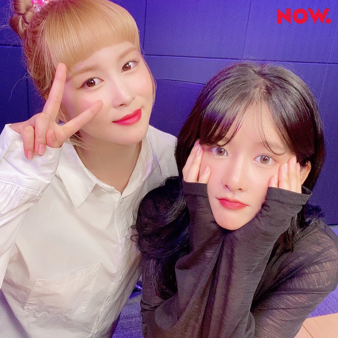 npop_zip's tweet photo. 드디어 #우주소녀 #다영 이네 #어벤걸스 에 뽀삐언니! #엑시 가 놀러왔어요👏🏻 #추석 맞아 TMI 토크도 하고 &amp; 우정젠가도 쌓고 &amp; 가족상담도 할 예정😘 두 사람의 찐친케미 #보쇼 로 만나요💜 #10시_시작 #NOW온에어 #WJSN #뽀벤걸스 바로보기🎥https://t.co/yMh8YNuAJJ https://t.co/LB9DV4FEy0