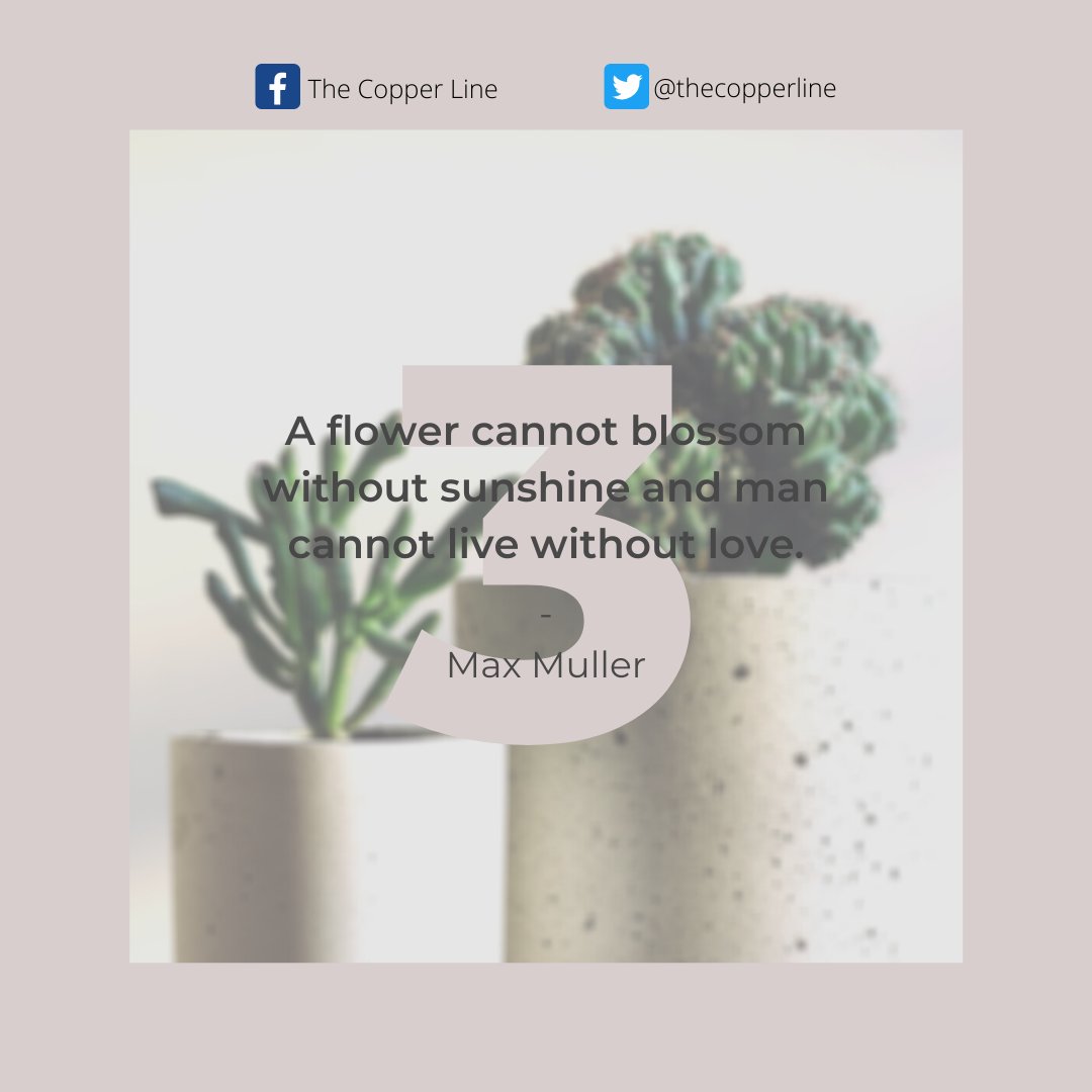 thecopperline's tweet photo. My book is out now! Link is on my page! #author #authorslife #authorsofinstagram #write #writersofinstagram #quotes #quotesoftheday #quotesaboutlife #quotegram #inspiration #inspirational #inspirationalquote #follow #followforfollow #like #bestoftheday #photooftheday #instadaily https://t.co/7EjRXlWq7W