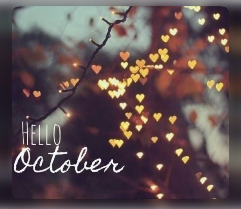 MrsM33qPC's tweet photo. Good Morning #Wolfpack โ๏ธโ๏ธ๐ป May the next 31 days be filled with love, joy, peace, new memories, new goals and all things pumpkin ๐๐๐พ #StrongerTogether #OutstandingOctober #BullyAwarenessMonth #AutumnThings #WeGotThis
@PS_33Q @D29Shines @UFT https://t.co/SBJPp58uN8