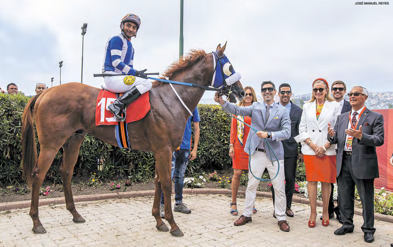 La Hípica tweet media