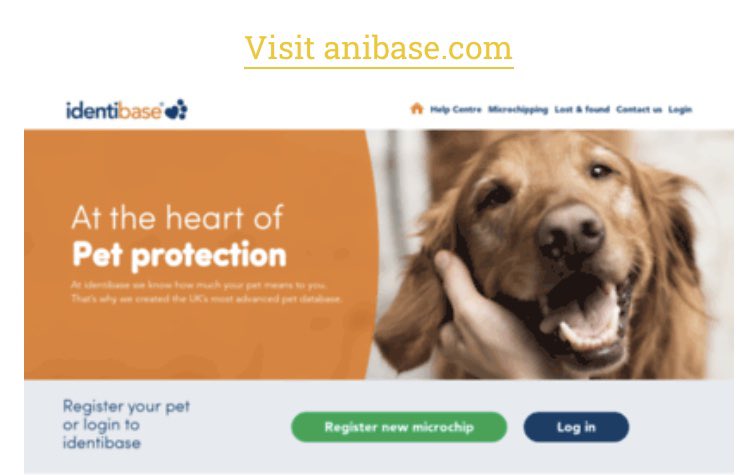 identichip collar tag