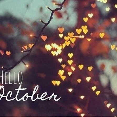 Hofstra Bookstore tweet media