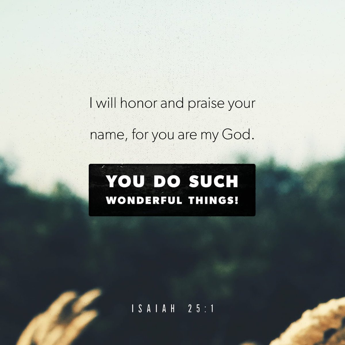 smanning10's tweet photo. Good Morning Family &amp; Friends!!!❤️🙏🏾 https://t.co/25wpZiWYs6 https://t.co/6sMPuyci6F