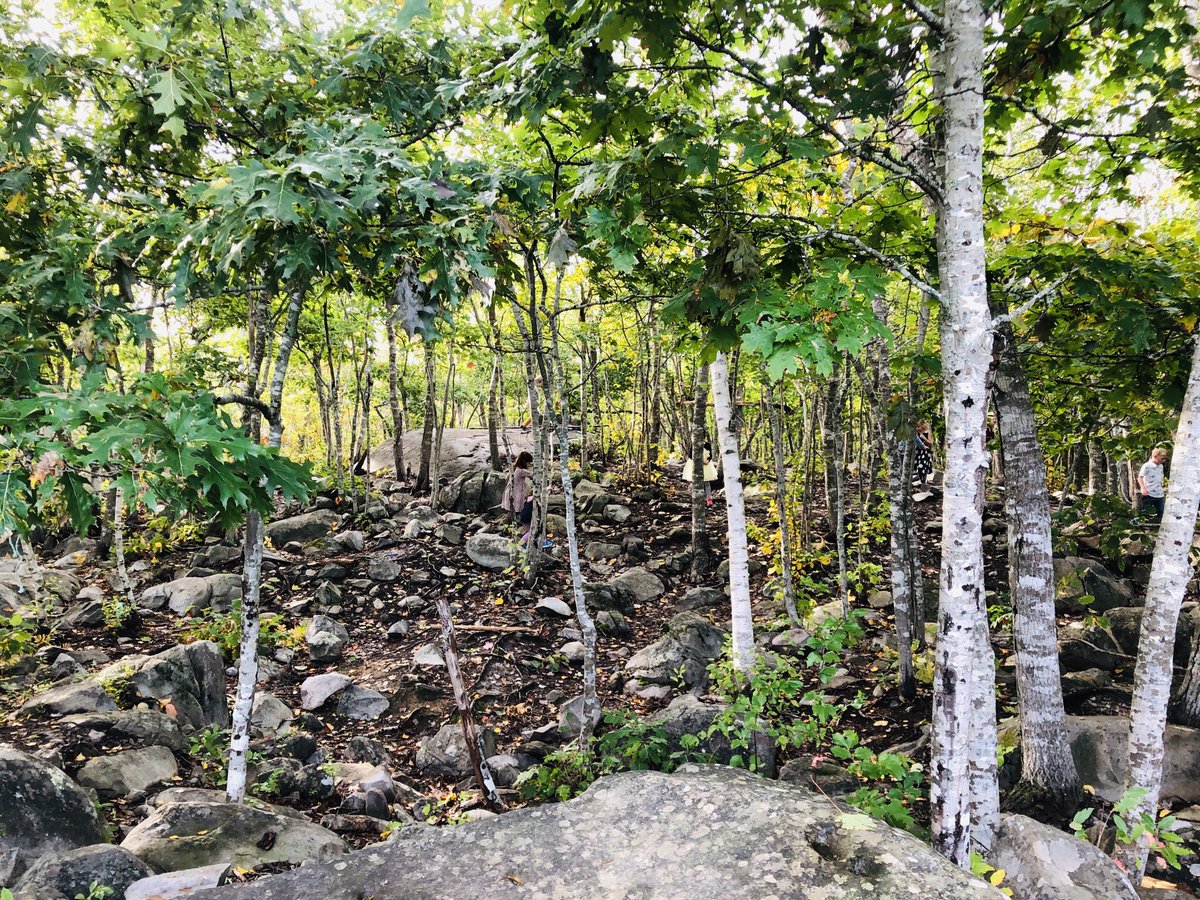 Adam Leuschner tweet media