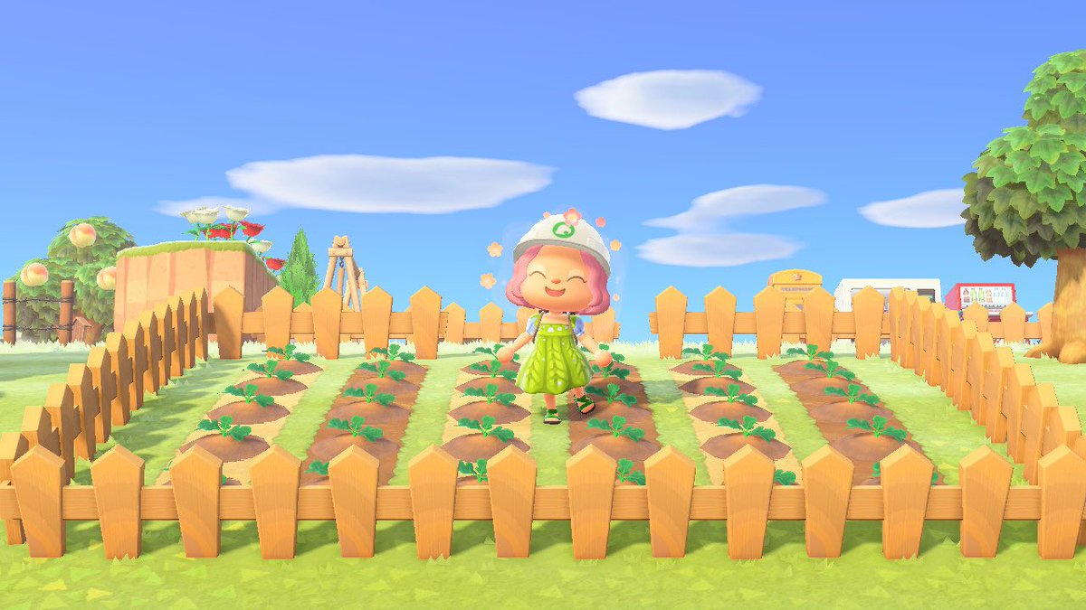 ThisIsJenx's tweet photo. Got my pumpkin patch all set! Who’s ready for Halloween season? #ACNH #AnimalCrossingNewHorizons #Halloween2020 #acnhhalloween #pumpkinpatch https://t.co/0DVdPmnHG3