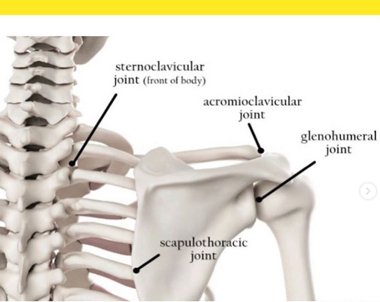 PureStretchUK's tweet photo. I can really struggle with Anatomy and Physiology... muscle names, terms, actions... so when it comes to Joints!!! Eeks...

Find out how I overcome this: https://t.co/epXm0Q3nOs
.⁣
.⁣
.⁣
.⁣
#gym #fitnessgirl #fitfam #fit #fitness #fitnessmotivation #fitnessfood #fitnessgoals https://t.co/rgGtUOs660