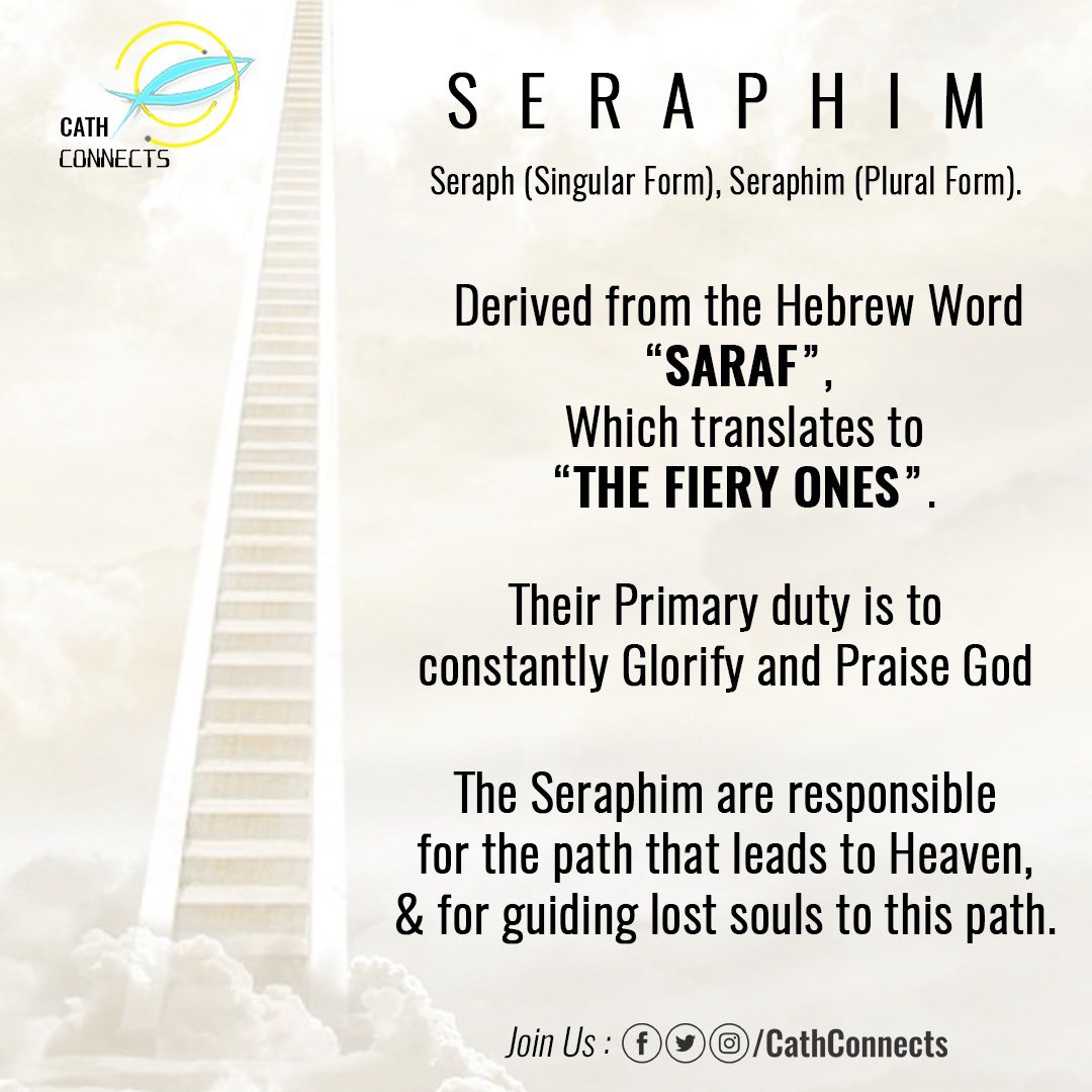 CathConnects's tweet photo. Above the Lord's throne, stood the #Seraphim.
 Each had six wings: with two he covered his face, and with two he covered his feet, and with two he flew. 
These are fiery six-winged beings that fly around the Throne of God crying "holy, holy, holy".
#Church #CathConnects #Catholic https://t.co/gYdhBL2FXy