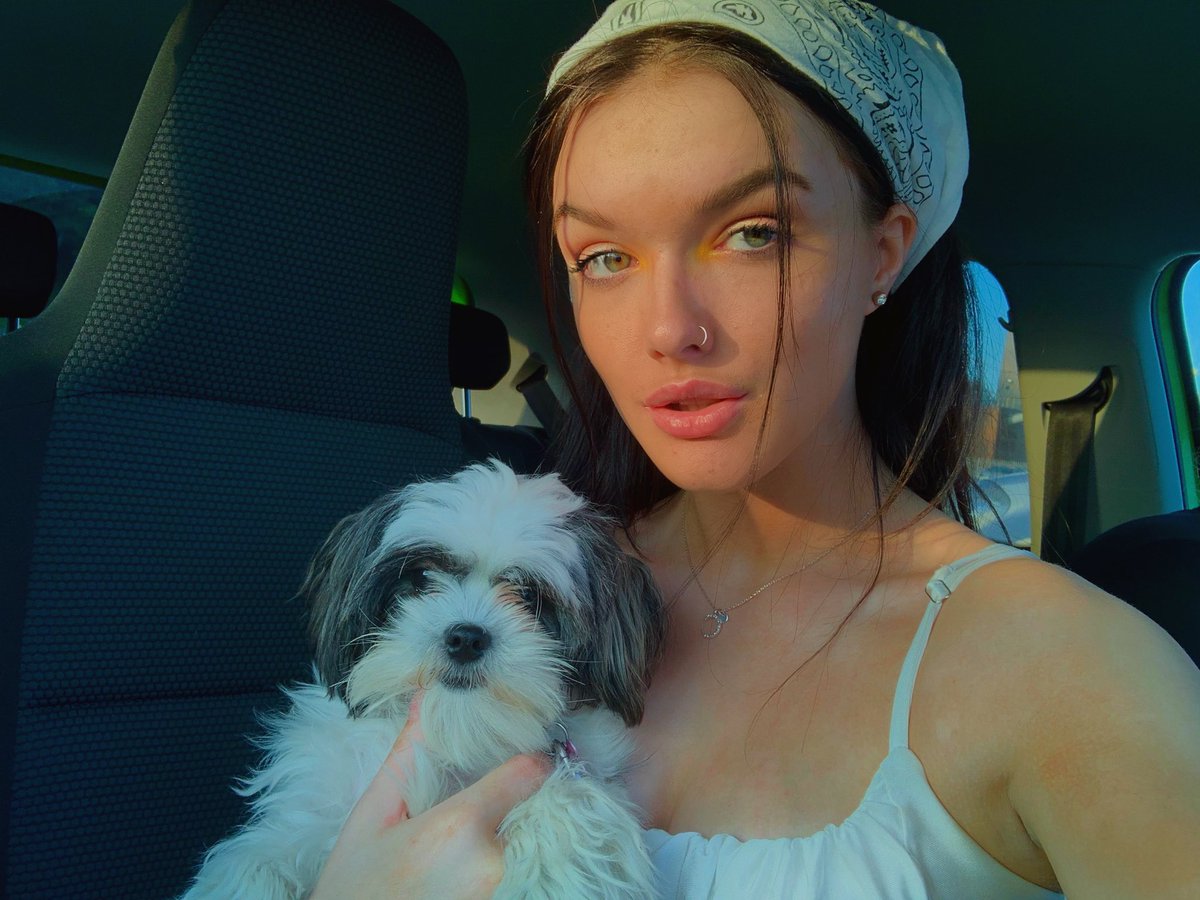Sophhcx_'s tweet photo. @ohpolly #PetsofOhPolly https://t.co/ZwYWYozJe6