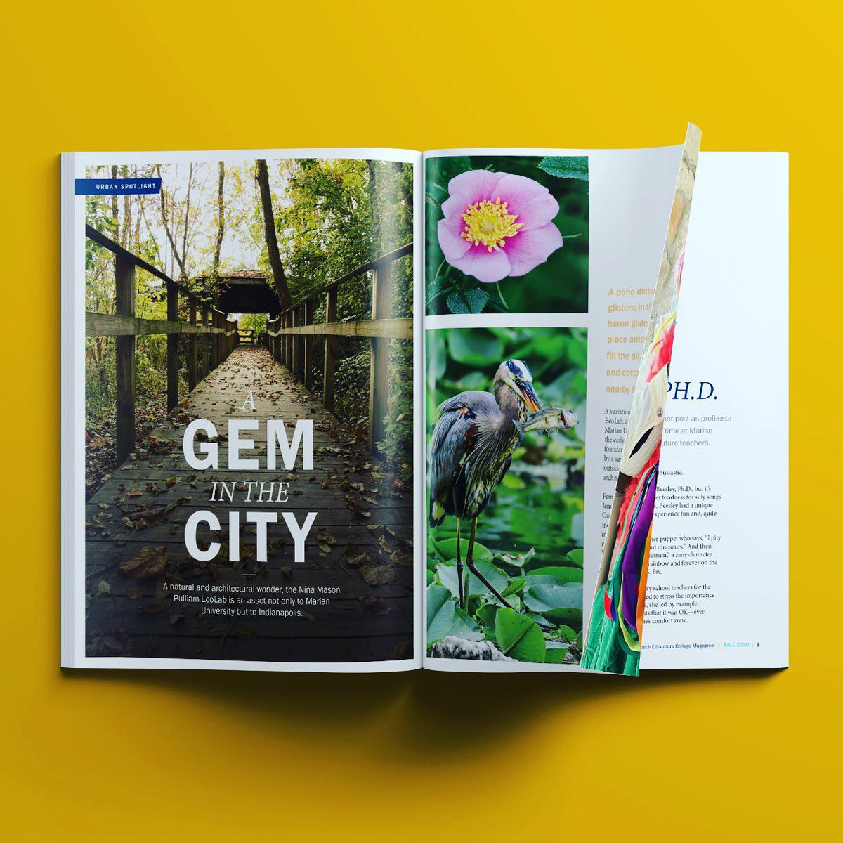 Matinee Creative tweet media