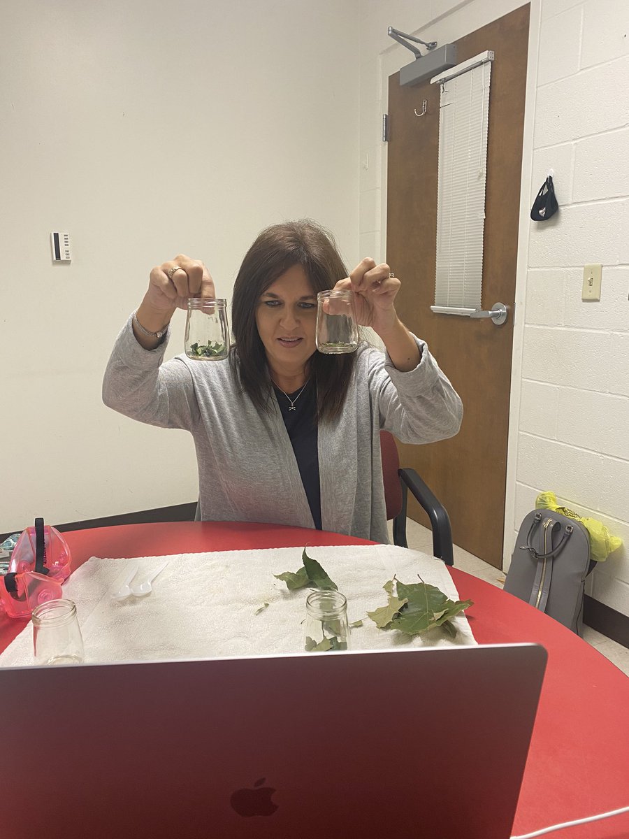 stone_kell's tweet image. Virtual Science Experiments with @DiannaSHerring