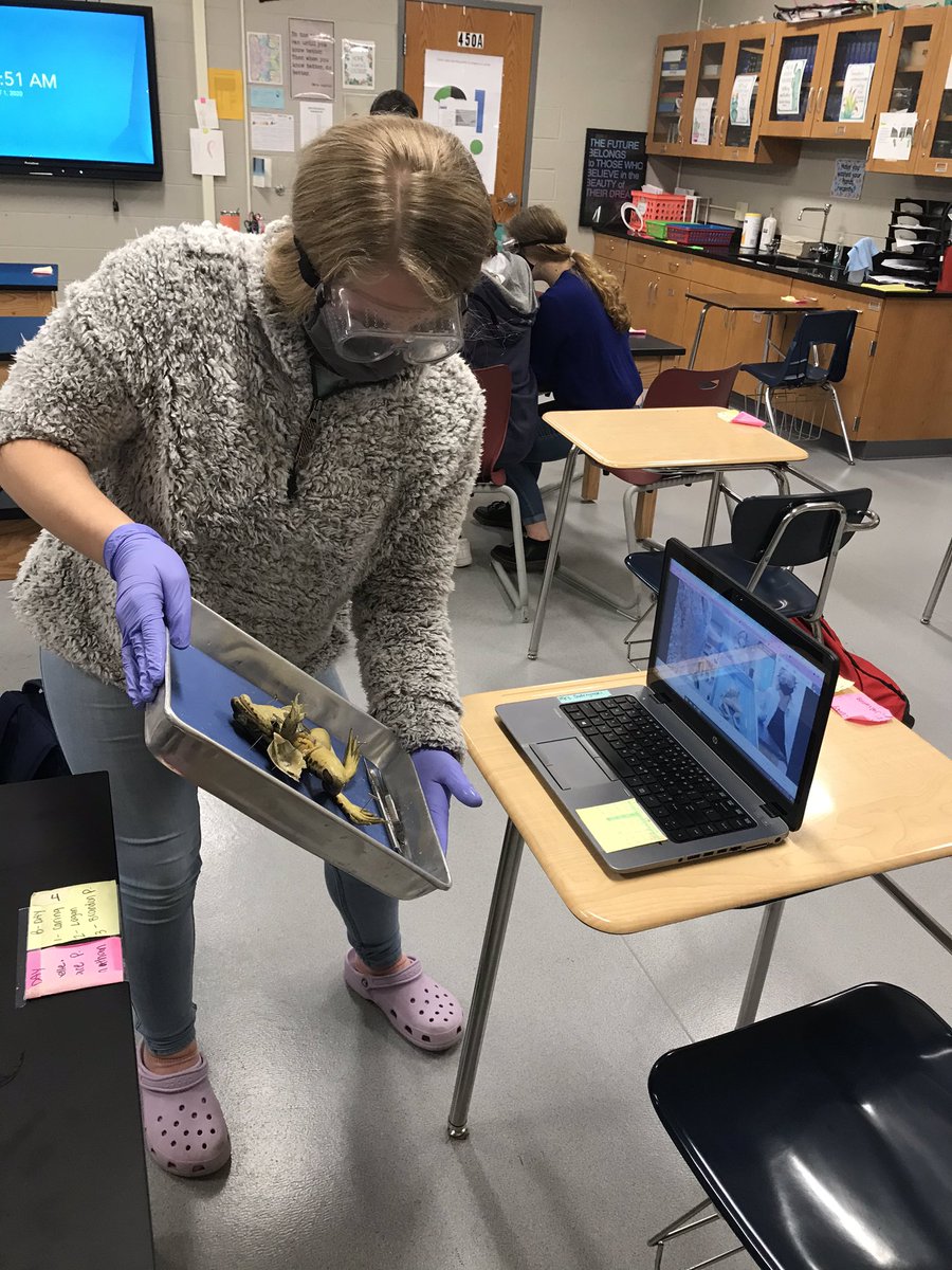 ShmouniS's tweet photo. Frog dissections in biology class today! #Biology #Science #scienceteacher #princespride #princeslearning https://t.co/Hyo5gAtnjw