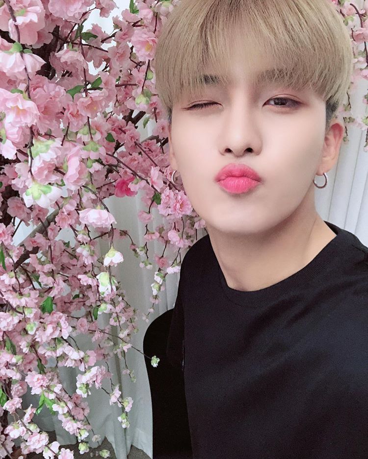 for my everythings,peonies to wish you growth and healing. the journey to self love and peace is never linear. it's a constant struggle to actively remind yourself to keep going despite wanting to let go. may jongho help you find the courage to keep fighting until you get there