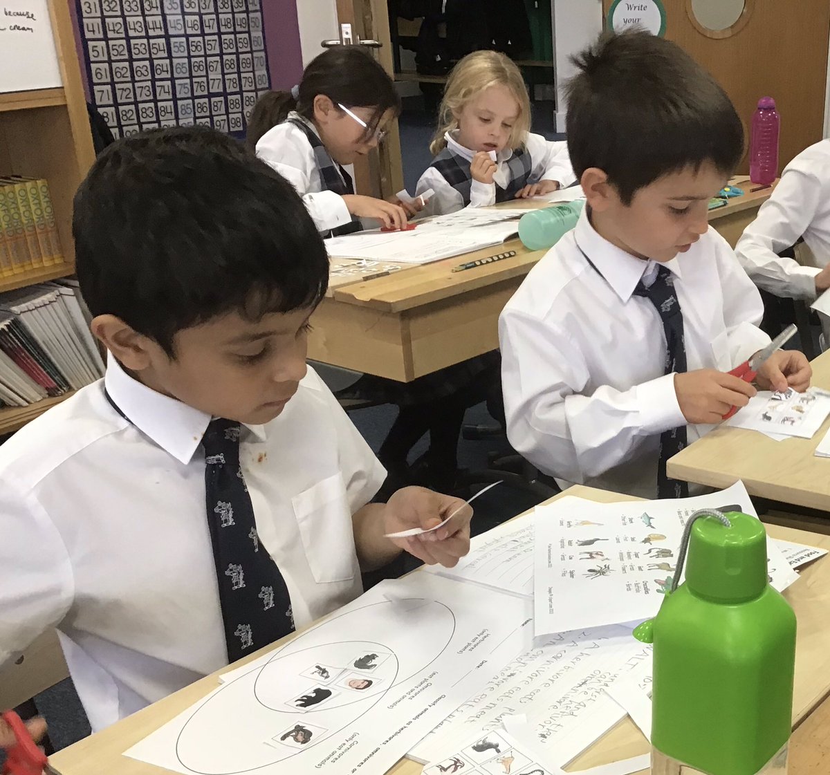 LaxtonJunior's tweet photo. Carnivore, herbivore or omnivore? #LJSYearThree used a diet sheet to carefully check the typical foods eaten by each animal before sorting them into a venn diagram. #LJSScience #loveoflearning #WeAreLJS https://t.co/vXKXe4itK5