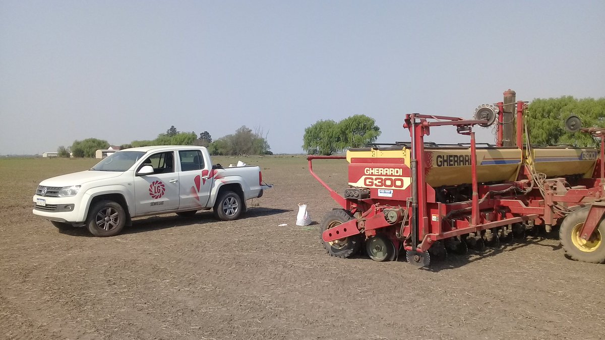 IngHCChaves's tweet photo. #Siembra2020 de #maiz ensayo de Desarrollo de @LG_SEMILLAS #Generandoinformacion Híbrido/Tecnología/Manejo.
Arrancando una campaña con muy buenas expectativas.
#SomosLG #LGensayos20_21 https://t.co/rect1l3zwg