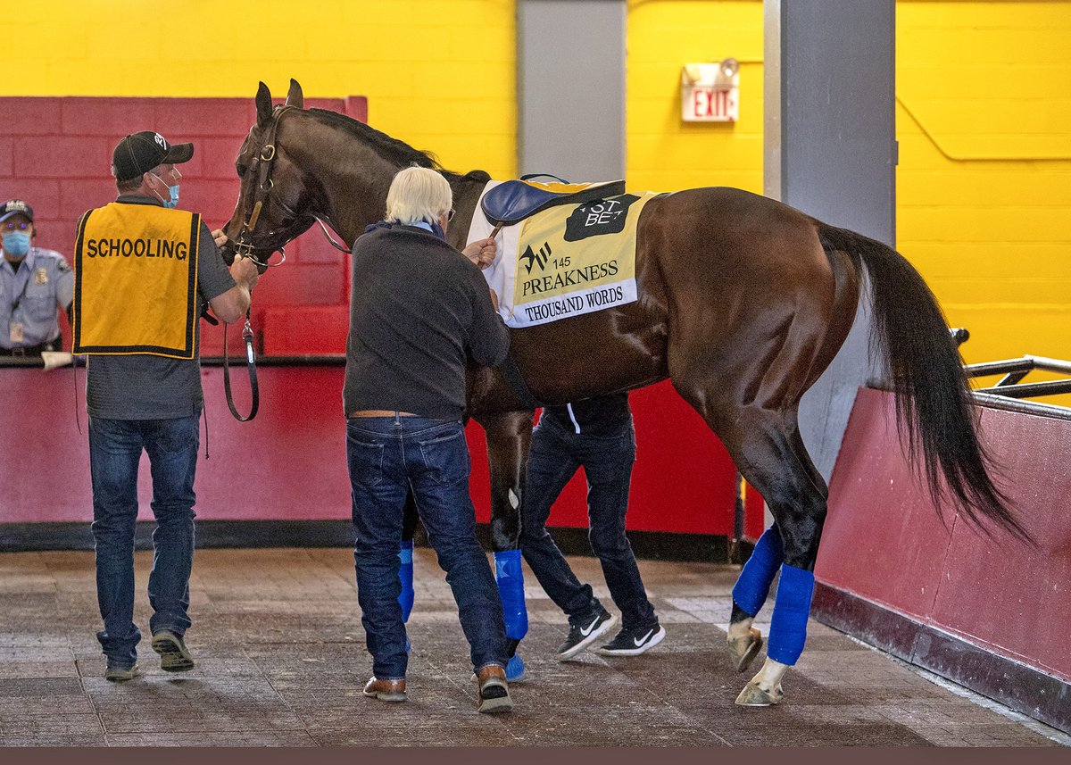PreaknessStakes's tweet image. #ThousandWords schools with a little help from @bobbaffert. #Preakness145