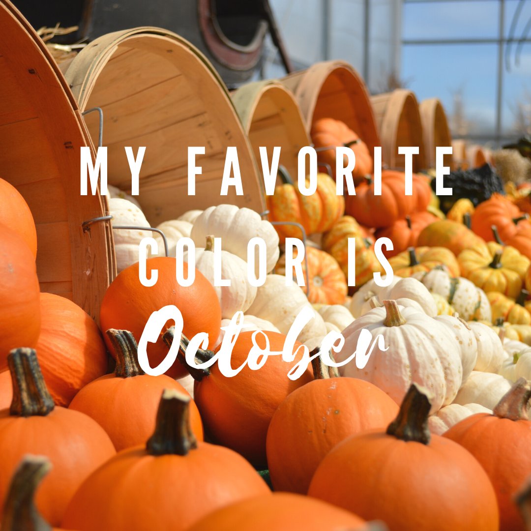 rabble_on's tweet photo. Happy October 1st! With Halloween now less than a month away, we are getting excited for pumpkin carving, decor, gatherings, costumes, and, perhaps most of all, the candy! What is your favorite tradition in October? https://t.co/6WF2Icikty