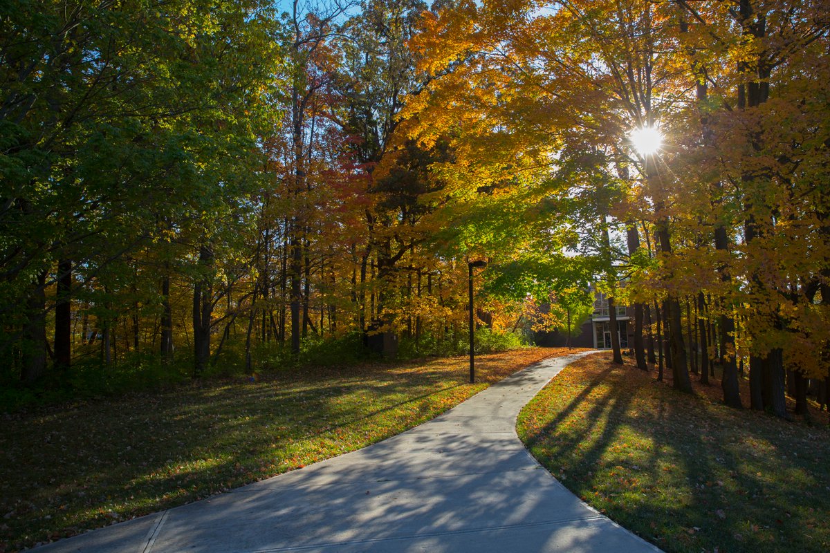 MiamiRegionals's tweet photo. Our campuses are beautiful in all seasons. Fall is our favorite time of year. What do you look forward to most during the fall season? https://t.co/62HmnDjjpw