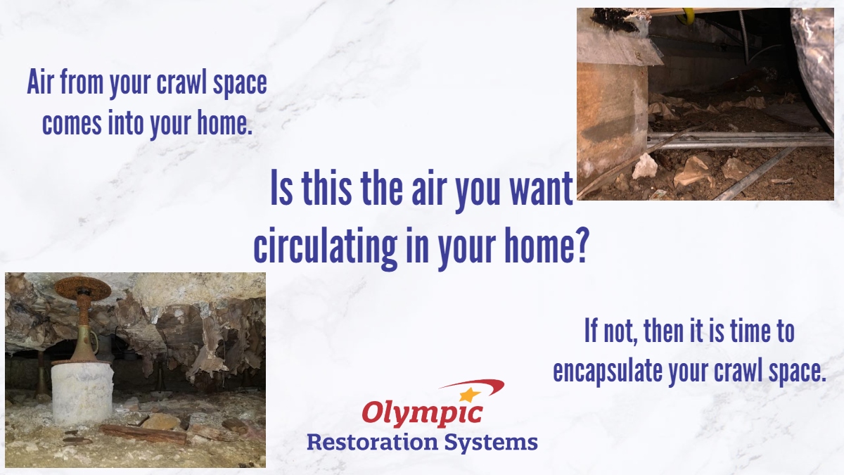 All of that nasty mold, humid air, and smell from your crawl space will affect your entire home, unless you encapsulate it. 
Call 1-888-756-5967 to schedule your FREE, no obligation estimate, or visit us at olympicrestoration.com
#olympicrestorationsystems #crawlspacerepair