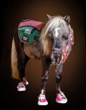 Phelps Media tweet media