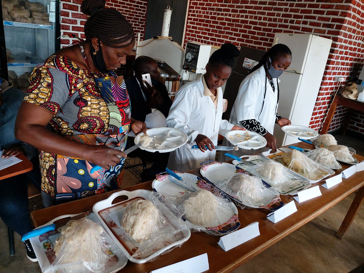 nduwath's tweet photo. @RwandaAgri @RwandaAgriBoard @IITARWANDA @IITA_CGIAR @P_Karangwa @g_mukeshimana @tumwegamire
today we hosted a tasting and pre-naming event for sex new cassava varieties #Rubonastation. The field day and naming ceremony is expected soon during #cassavaweek with #ingobosyndicat https://t.co/5JwHDj3eq5