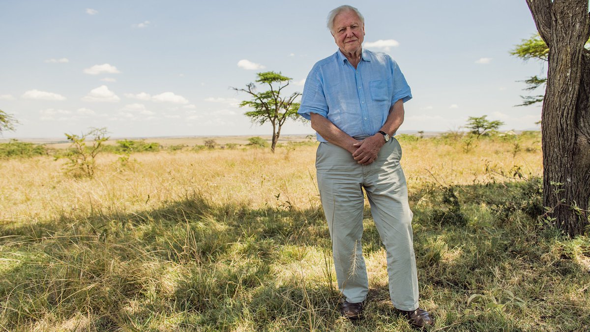 CapsCoalition's tweet image. David Attenborough Leads Call for World to Invest In Nature:

Appeal to redirect financing from polluting industries &amp;amp; into locally-led conservation is backed by &amp;gt;130 groups.

Currently we spend more on video games than we invest in nature conversation.

tmsnrt.rs/3irl92w