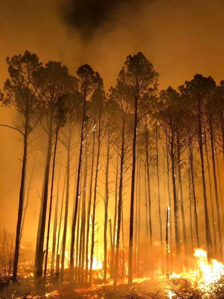 LGR_Ezequiel's tweet photo. @alferdez esto para usted realmente no es una situación que deba tomar medidas urgente? Porque no viene usted mismo a ver los ojos de las personas que hoy pierden todo? Que asuntos le parece más importante que nuestra naturaleza?
Ah sí no es https://t.co/TTNWe2o3pa no importa? https://t.co/PoIbJExQw2