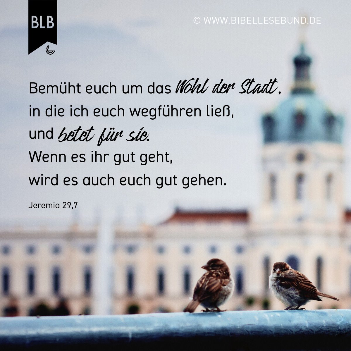 Bibellesebund's tweet photo. #Bibel # Bibellesebund #Monatsspruch #Oktober2020 #Oktober20 #SuchetDerStadtBestes #Gebet #Engagement #Jeremia #Jeremia29 https://t.co/4o289VWqSy