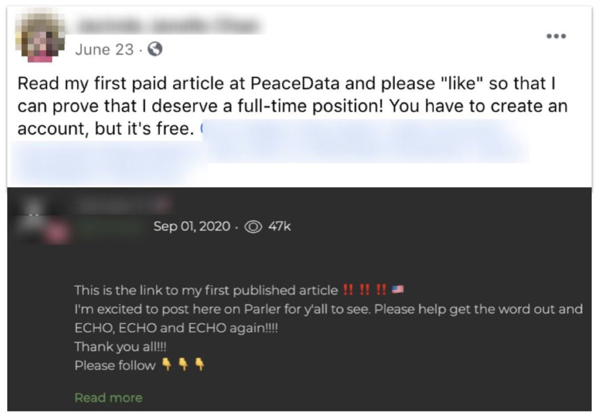 Both claimed to be young European news outlets. Both targeted very precise demographics. Both hired genuine freelancers, including people who’d never written before - perhaps the better to steer them editorially.